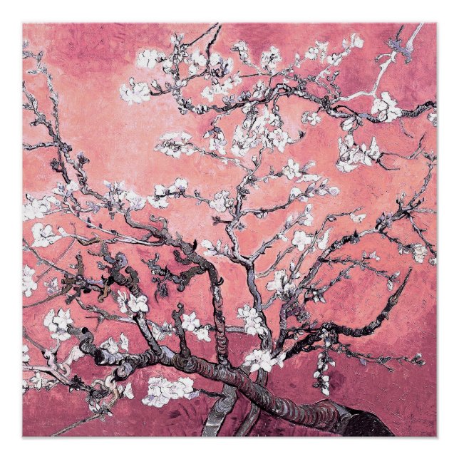 Poster Van Gogh Almond Blossom pêche rose (Devant)