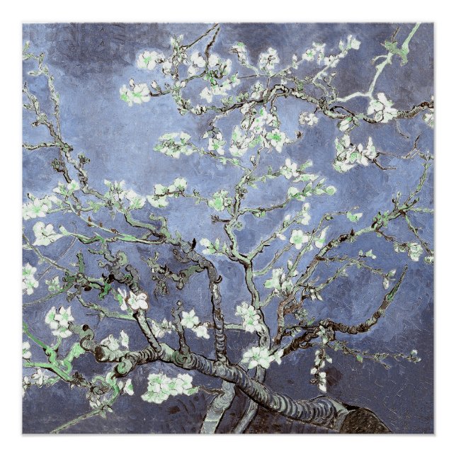 Poster Van Gogh Almond Blossoms en acier bleu (Devant)