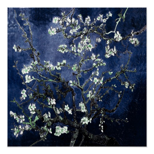 Poster Van Gogh Almond Blossoms Midnight Blue (Devant)
