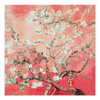 Van Gogh Almond Blossoms pêche