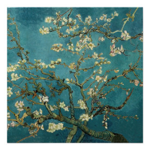 Poster Van Gogh - Arbre aux amandes en fleurs