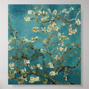Poster Van Gogh - Arbre aux amandes en fleurs