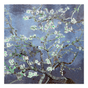 Poster Van Gogh Fleurs d'amandier Bleu Acier