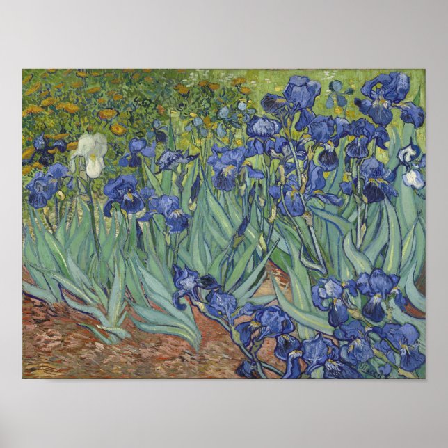 Poster van Gogh Irises (Devant)