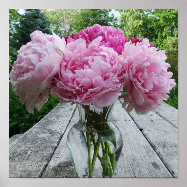 Poster Vase of Pink Peonies Imprimer (Devant)