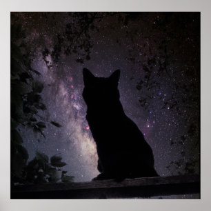 Poster Veille nocturne