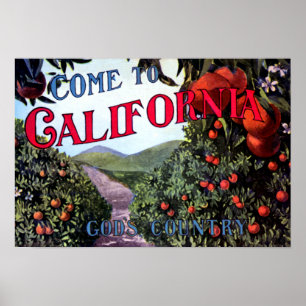Poster Venez en Californie Vintage Graphic