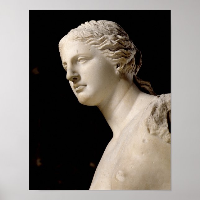 Poster Venus de Milo (Devant)