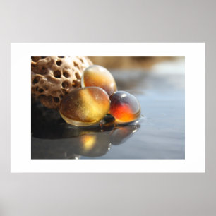 Poster Verre ambre de mer