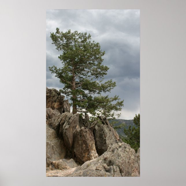 Poster Vers une tempête (Devant)