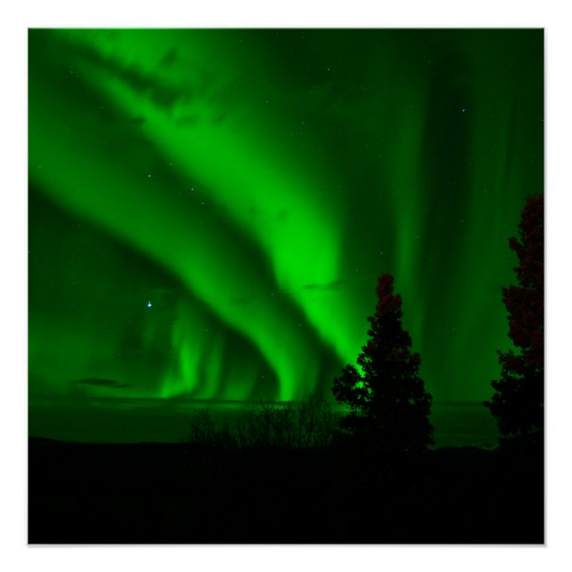 Poster vert aurora-boréal (Devant)
