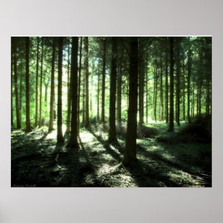 Poster Vert fonçé