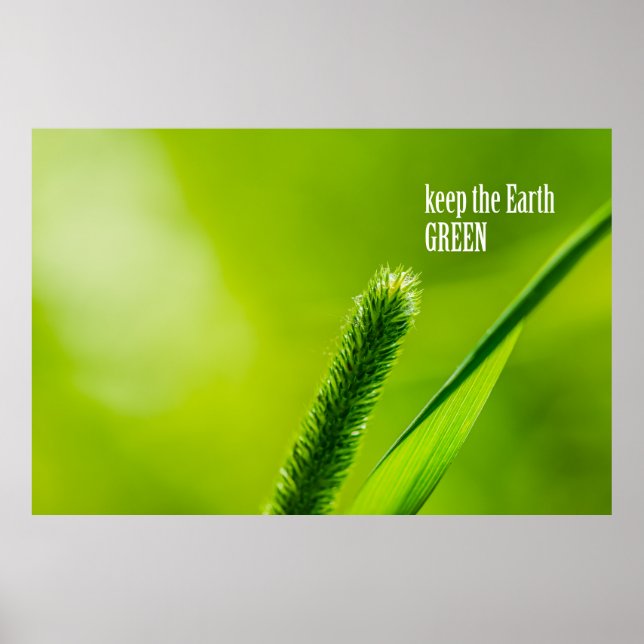 Poster Vert herbe et soleil - Gardez la Terre verte (Devant)