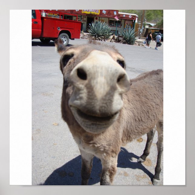 Poster Veste 002 (Devant)