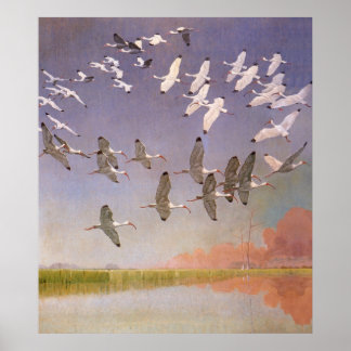 Poster Vestige d'Ibis survolant les zones humides, les oi