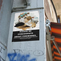 Veuillez Être Considéré Sur Fireworks