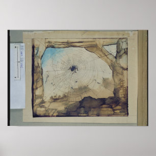 Poster Vianden par une toile de l'araignée