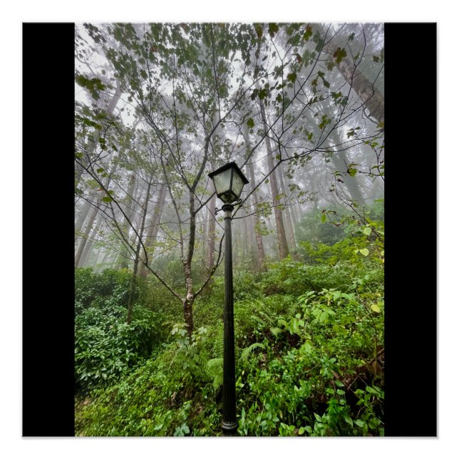 Poster Vibes portugaises (Devant)