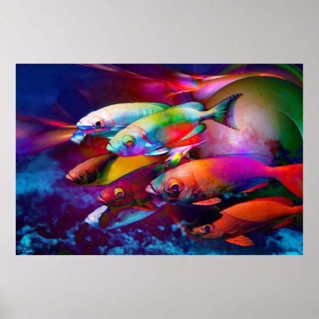 POSTER VIBRANCE (Devant)