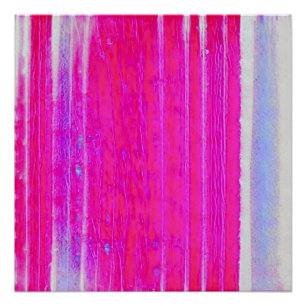 Poster Vibrant Abstrait rose et violet rayures Art