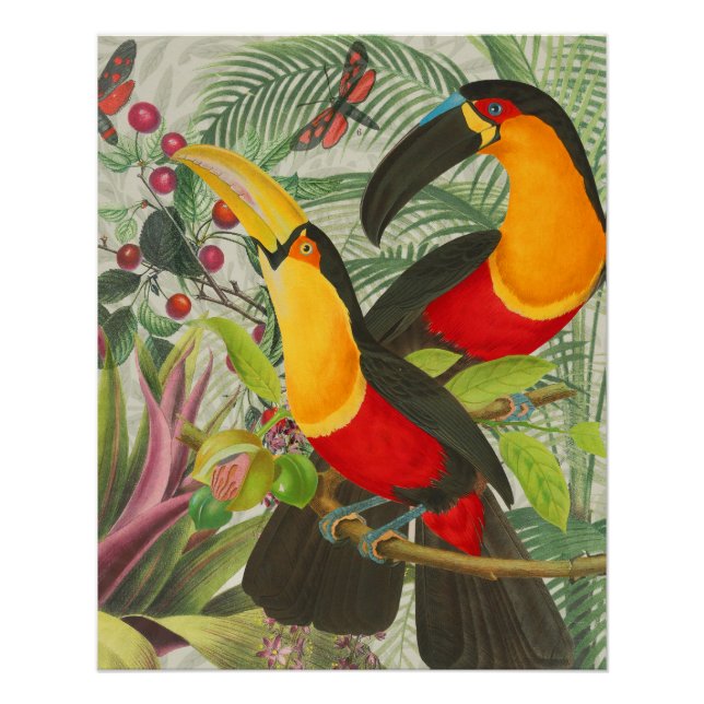 Poster Vibrant Tropical Toucan Birds Art Exotic Jungle (Devant)
