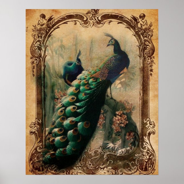 Poster victorien vintage floral parisien paon (Devant)