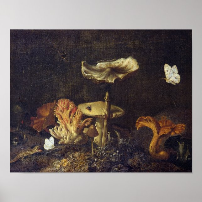 Poster Vie morte avec des champignons et des papillons (Devant)