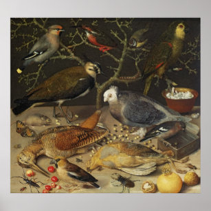 Poster Vie morte des oiseaux et des insectes, 1637