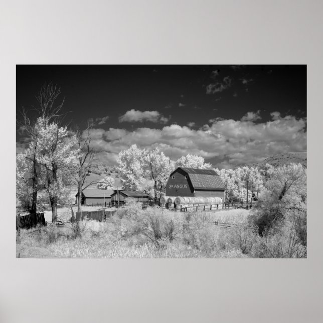 Poster Vieille grange (Devant)