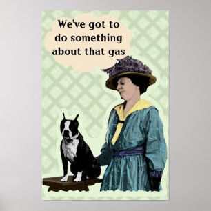 Poster Vieux BostonTerrier