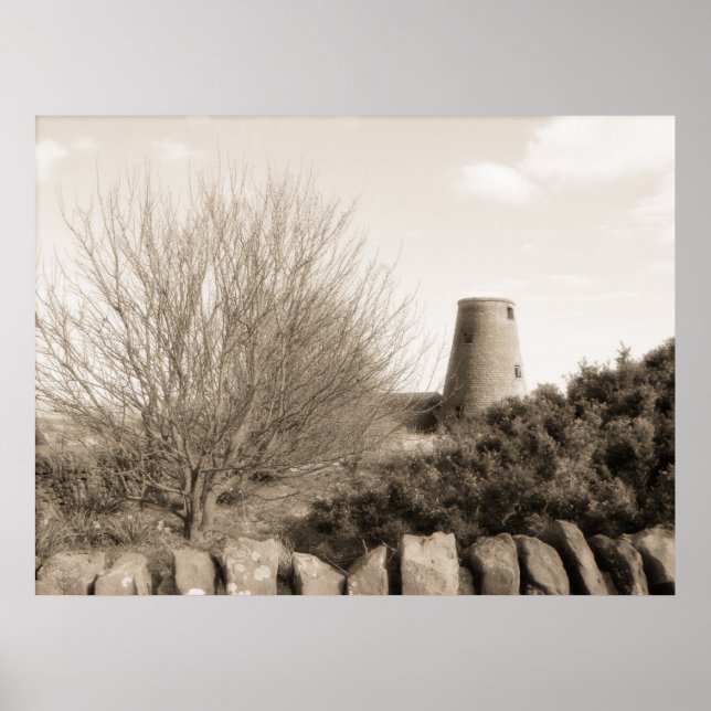 Poster Vieux moulin avec arbres - Ecosse (Devant)