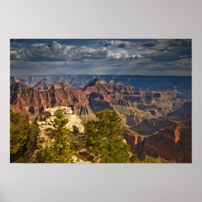 Poster View from North Rim Visitor Center - Grand (Devant)
