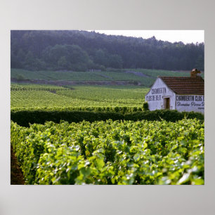 Poster vignoble Chambertin Clos de Bèze Grand Cru avec