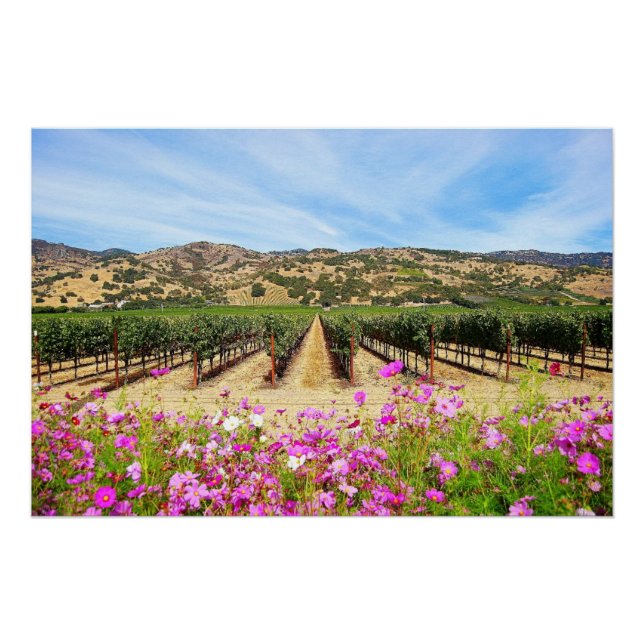 Poster Vignoble Napa Valley avec Cosmos (Devant)