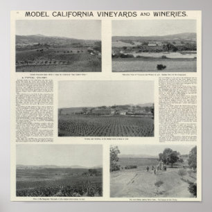 Poster Vignobles modèles, la Californie