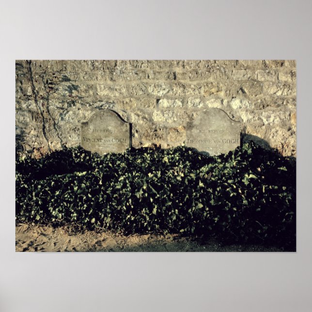 Poster Vincent van Gogh | Graves, Vincent, Theo van Gogh (Devant)