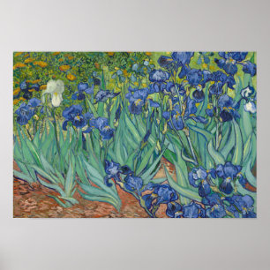 Poster Vincent van Gogh - iris