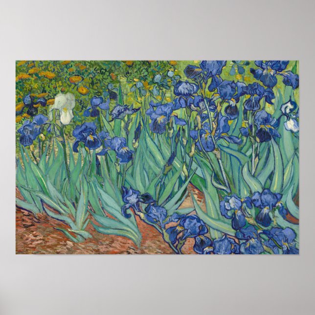 Poster Vincent van Gogh - Irises (Devant)