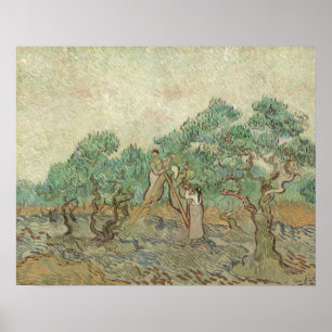 Poster Vincent Van Gogh  Le Verger d'Olivier