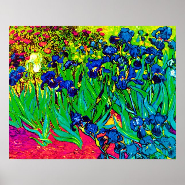 Poster Vincent Van Gogh - Les Iris - Amoureux des Fleurs  (Devant)