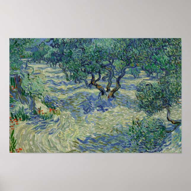 Poster Vincent van Gogh - Olive Orchard (Devant)