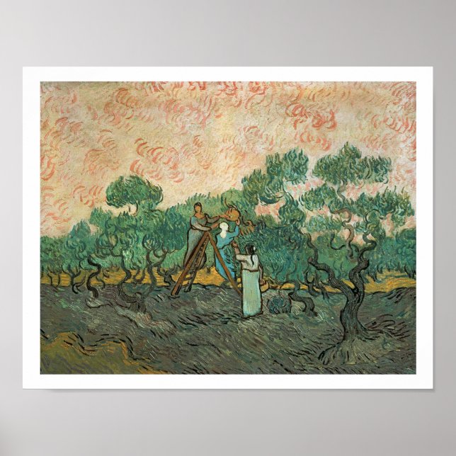 Poster Vincent van Gogh | Olive Pickers, Saint-Remy (Devant)