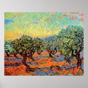 Poster Vincent Van Gogh - Oliveraie sous un ciel orange