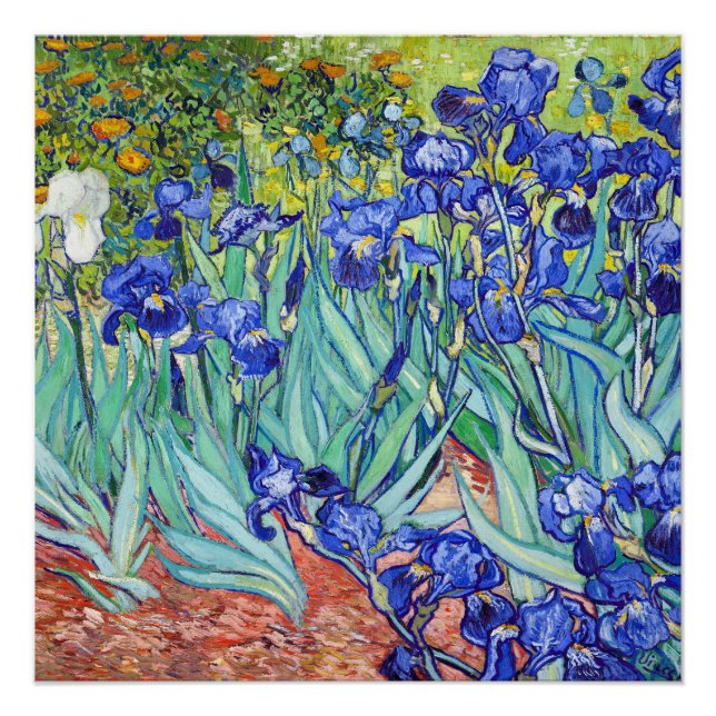 Poster Vincent Van Gogh painting Irises (Devant)