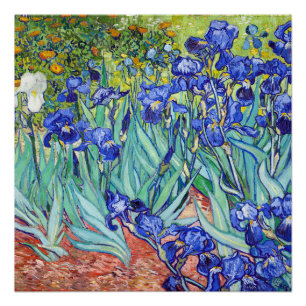 Poster Vincent Van Gogh peignant les Iris