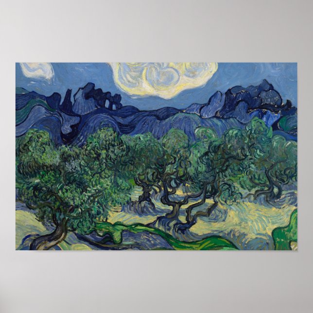 Poster Vincent van Gogh - The Olive Trees (Devant)