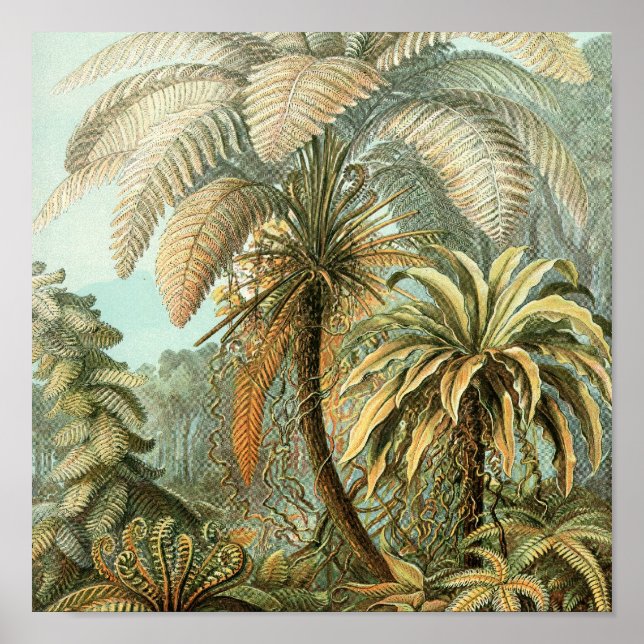 Poster vintage (Devant)