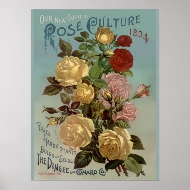 Poster Vintage 1894 Guide de la culture Rose (Devant)