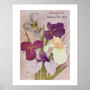 POSTER vintage À FLEURS "JAPONAIS IRIS"