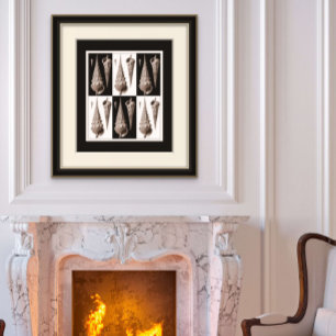 Poster Vintage Art Déco Sea Shell